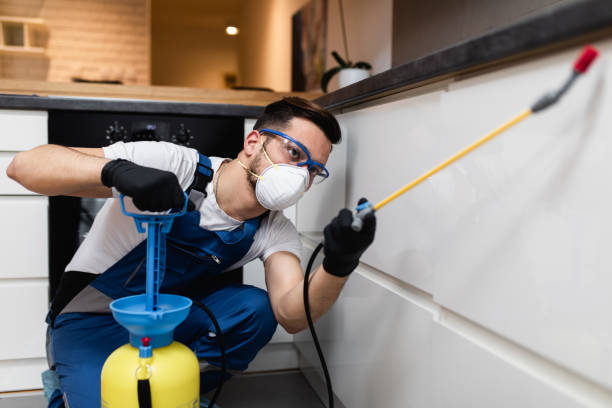 Best Mosquito Control Services  in Hooper, NE