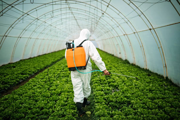 Best Best Pest Control Companies  in Hooper, NE