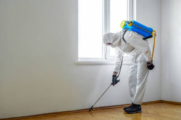 Best Pest Prevention Services  in Hooper, NE