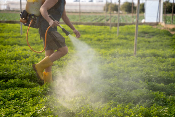 Best Best Pest Control Companies  in Hooper, NE