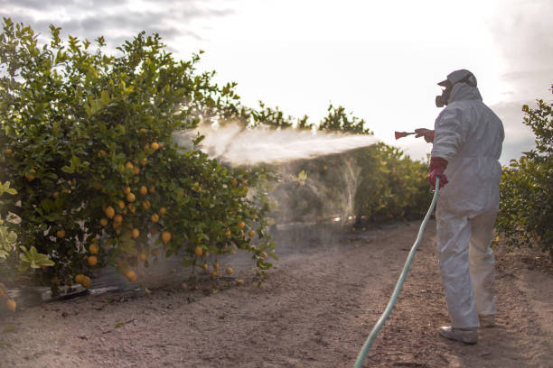 Hooper, NE Pest Control Company