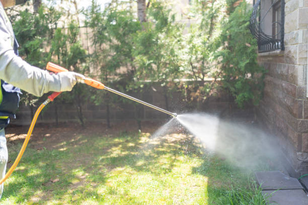 Best Termite Control Services  in Hooper, NE