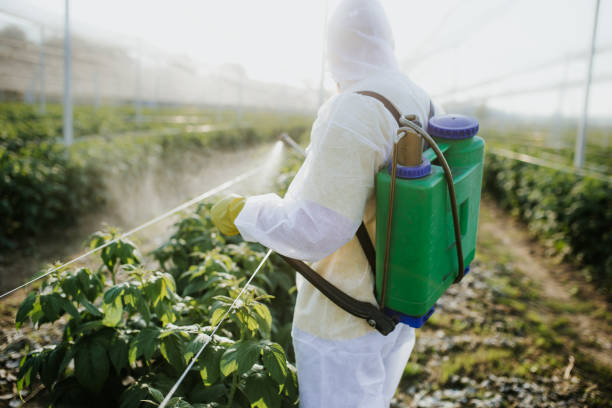 Best Insect Control  in Hooper, NE